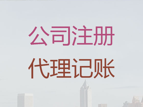 三亚代记账公司|代理分公司记账/做账